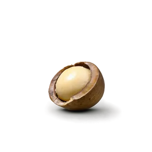 Macadamia Nut Png Bjl72 PNG Image