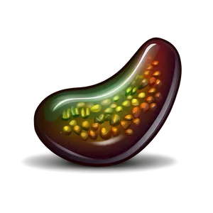 Magic Bean Icon Png Ehw PNG Image