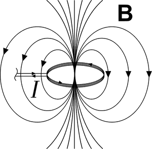Magnetic_ Field_ Around_ Current_ Loop PNG with transparent background