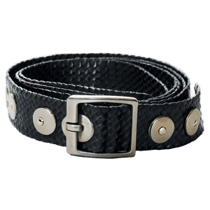 Magnetic Strap PNG yws PNG