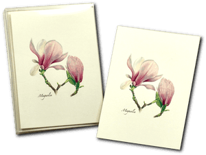 Southern Magnolia, HD Png Download PNG image with transparent background