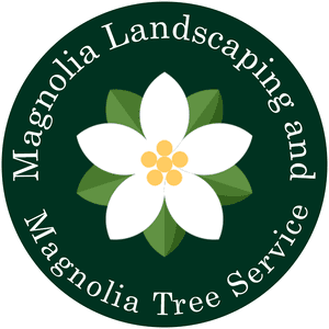 Big Youth, HD Png Download PNG image with transparent background