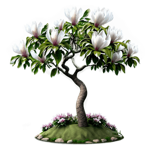 Magnolia Tree Garden Scene PNG cen PNG