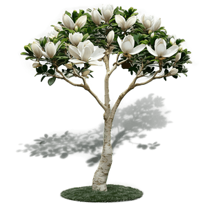 Magnolia Tree Garden Scene PNG uui PNG