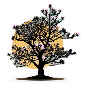 Magnolia Tree Sunset Silhouette PNG 06212024 PNG