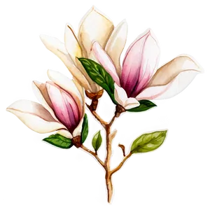 Magnolia Watercolor Charm Png Kpw PNG Image