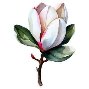 Magnolia Watercolor Charm Png Lgx31 PNG Image