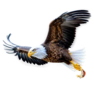 Majestic American Eagle Png 43 PNG Image