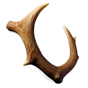 Majestic Antler Render Png 90 PNG Image