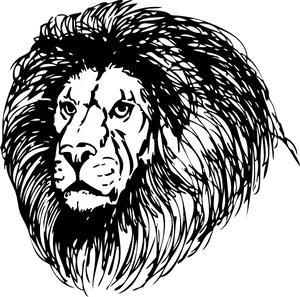 Majestic Black Lion Illustration PNG Image