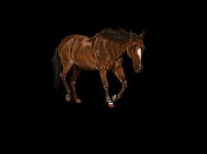 Majestic Brown Horse Artwork PNG image with transparent background