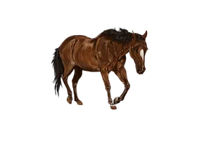 Majestic Brown Horse Artwork PNG Image