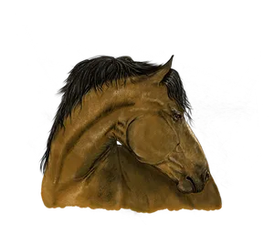 Majestic_ Brown_ Horse_ Portrait PNG Image