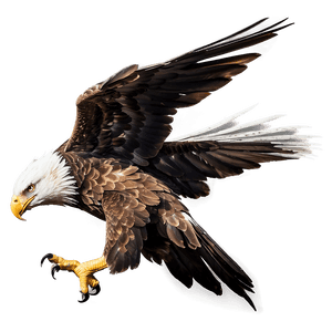Majestic Eagle Flying PNG 06112024 PNG