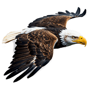 Majestic Eagle Flying PNG 9 PNG