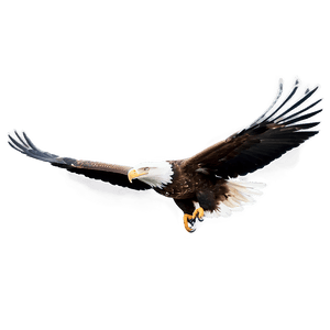 Majestic Eagle Flying PNG slr95 PNG