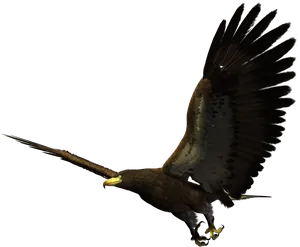 Majestic Eaglein Flight PNG Image