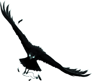 Raven Art Png - Anime Raven Animal PNG image with transparent background