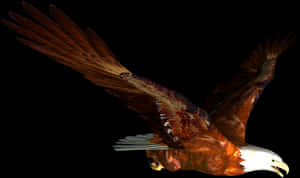 Flying Eagle Png Image PNG image with transparent background