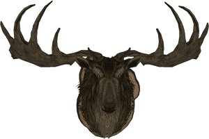 Maleelkmounthf - Skyrim Elk Wall Mount, HD Png Download PNG image with transparent background