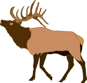 Elk Deer Clip Art - Elk Clipart, HD Png Download PNG image with transparent background