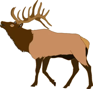 Majestic Elk Illustration PNG Image