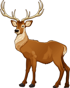 Elk Png Art - 羚羊 卡通, Transparent Png PNG image with transparent background