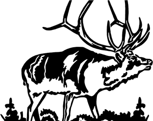 Bull Elk Clip Art, HD Png Download PNG image with transparent background