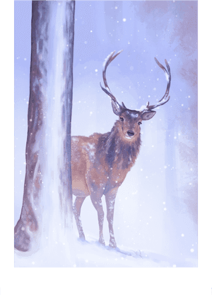 Elk, HD Png Download PNG image with transparent background