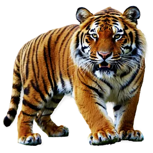 Majestic Fury Tiger Png Agv88 PNG Image