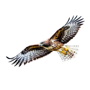 Majestic Hawk Flying Png Gfb PNG Image