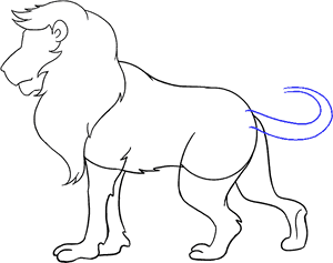 How To Draw Lion - Lion Picture For Drawing, HD Png Download PNG image with transparent background