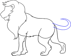 Majestic Lion Lineart PNG Image