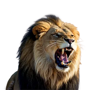 Majestic Lion Of Judah Roaring Png Rgb63 PNG Image