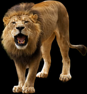 Majestic_ Lion_ Roaring_ Black_ Background.jpg PNG image with transparent background