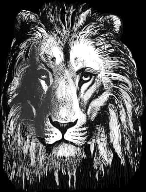 Majestic Lion Sketch Artwork PNG image with transparent background