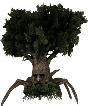Transparent Bonsai Tree Png - Great Deku Tree Png, Png Download PNG image with transparent background