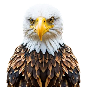 Majestic Mexico Eagle Png Kcw50 PNG Image