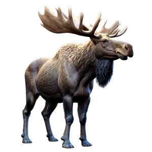 Majestic Moose Png 05242024 PNG Image