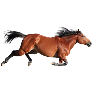 Majestic Mustang Horse Gallop Png 06262024 PNG Image