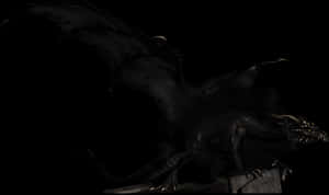 Majestic_ Night_ Dragon PNG image with transparent background