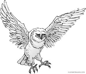 Majestic_ Owl_ In_ Flight.png PNG Image