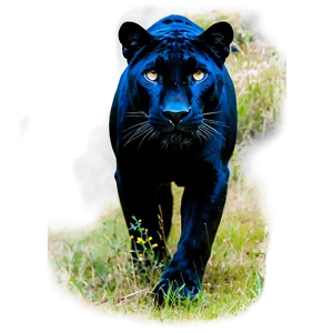 Majestic Panther Png Wib PNG Image