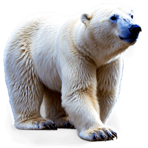 Majestic Polar Bear PNG 05062024 PNG image with transparent background