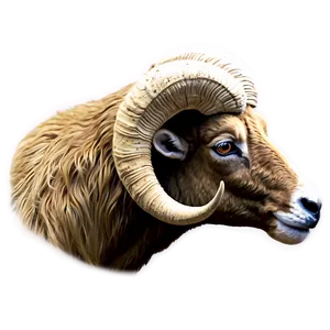 Majestic Ram Head Artwork Png Ohk30 PNG Image