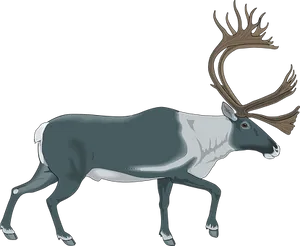 Majestic Reindeer Illustration PNG Image