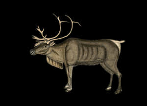 Majestic Reindeer Illustration PNG image with transparent background