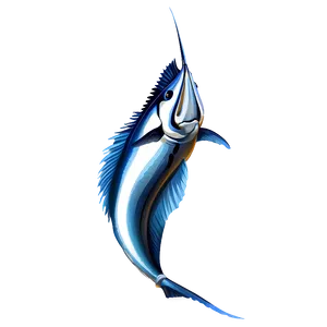 Majestic Sailfish Sketch Png 63 PNG Image