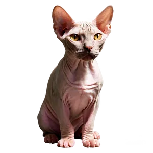 Majestic Sphynx Cat Standing Png 37 PNG Image