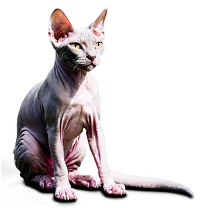 Majestic Sphynx Cat Standing Png Myt PNG Image